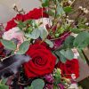 6 mixed Roses
